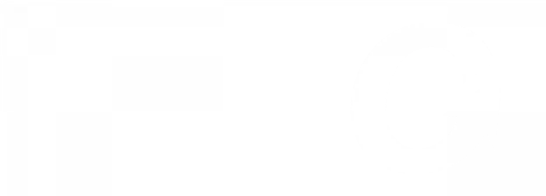 hintergrund-logo-grafik-weiss-2500x900px